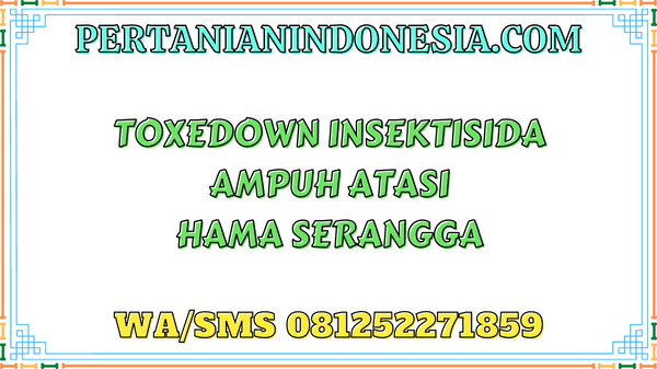 Toxedown Insektisida Ampuh Atasi Hama Serangga